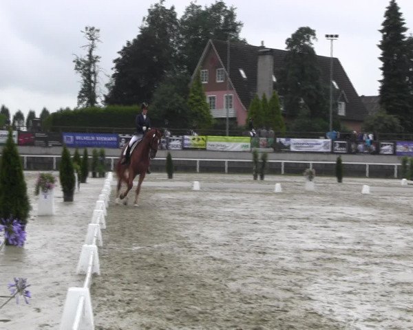 Reitturnier Melle-Ostenfelde 2016