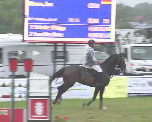 Fehmarn-Pferde-Festival  2016