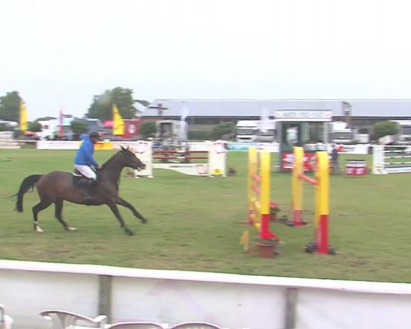 Fehmarn-Pferde-Festival  2016