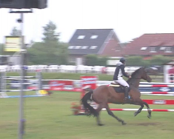 Fehmarn-Pferde-Festival  2016