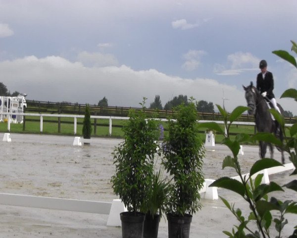 Reitturnier Melle-Ostenfelde 2016