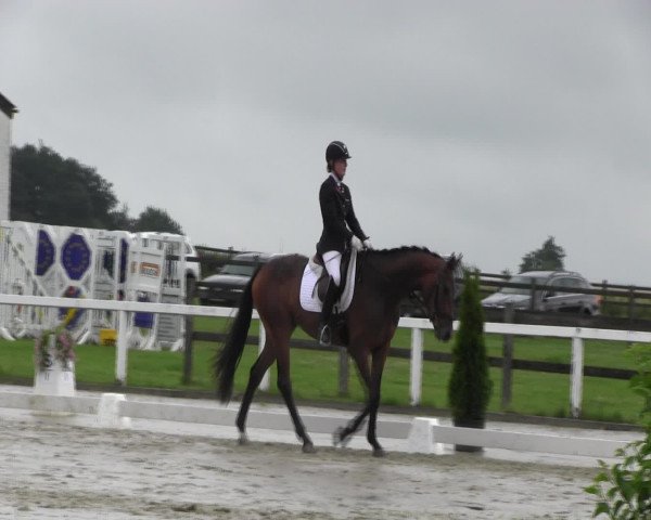 Reitturnier Melle-Ostenfelde 2016