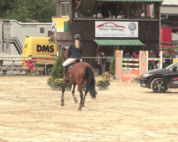 Reitturnier Schwerte-Gut Kückshausen 2016