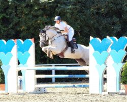 jumper Kita 2 (German Sport Horse, 2006, from Kaiserwind)