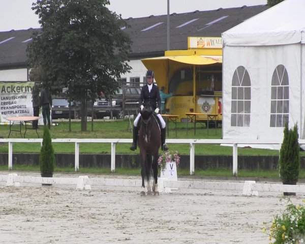 Reitturnier Melle-Ostenfelde 2016