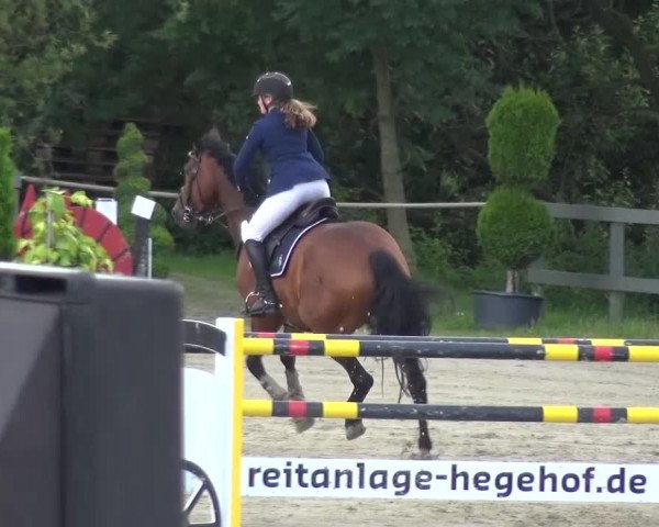 Reitturnier Kalenborn Hegehof 2016