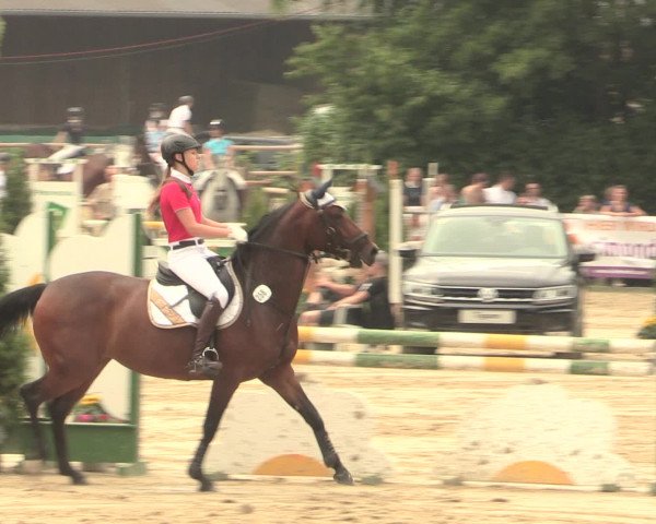 Reitturnier Schwerte-Gut Kückshausen 2016