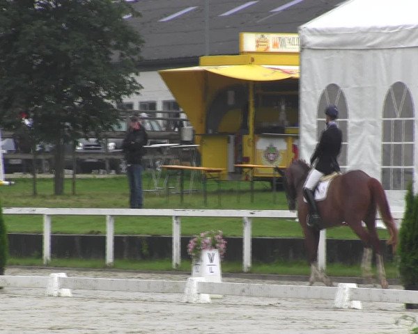 Reitturnier Melle-Ostenfelde 2016