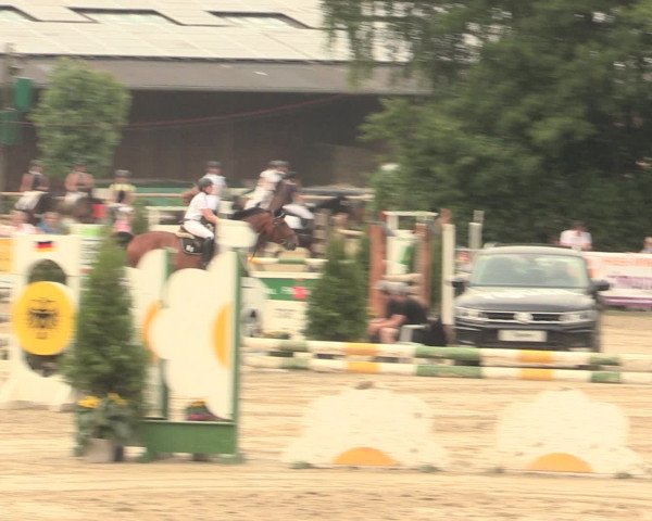 Reitturnier Schwerte-Gut Kückshausen 2016