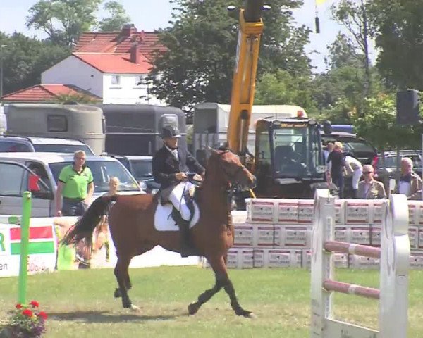 Fehmarn-Pferde-Festival  2016
