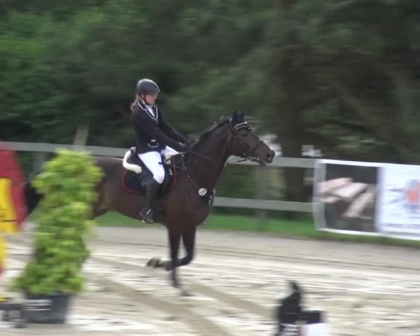 Reitturnier Kalenborn Hegehof 2016
