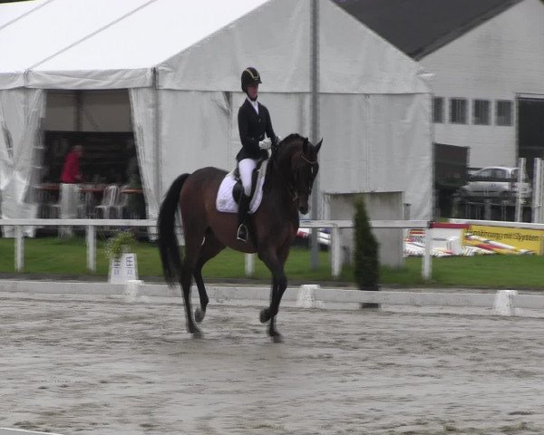 Reitturnier Melle-Ostenfelde 2016
