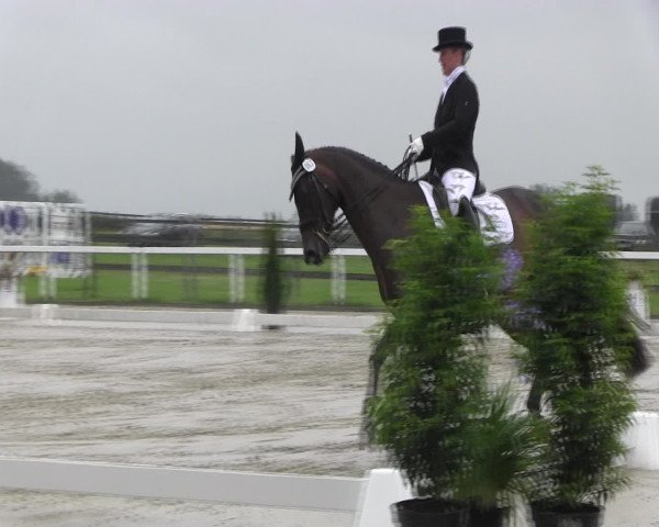 Reitturnier Melle-Ostenfelde 2016