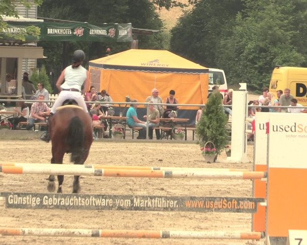 Reitturnier Schwerte-Gut Kückshausen 2016