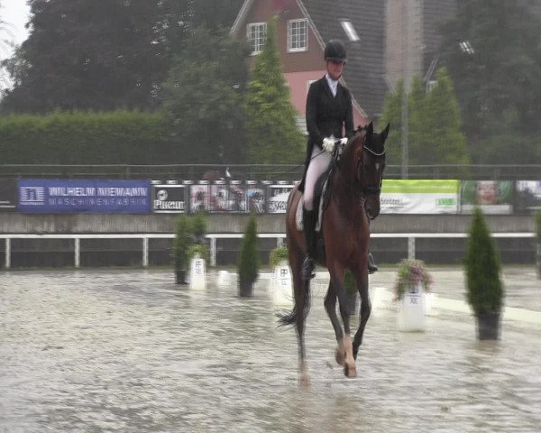 Reitturnier Melle-Ostenfelde 2016