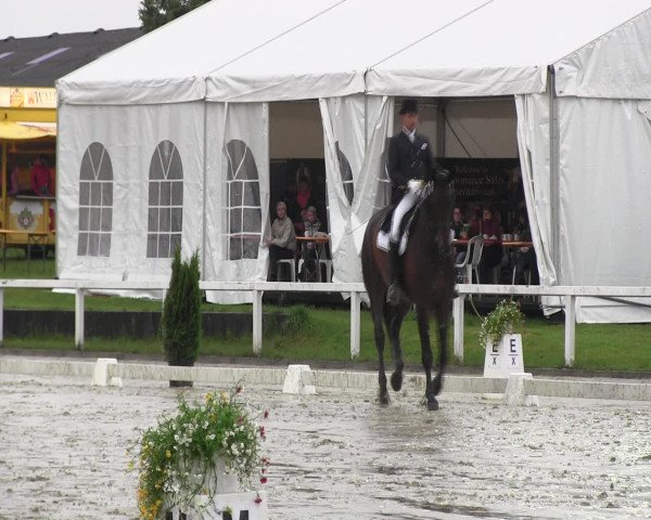 Reitturnier Melle-Ostenfelde 2016