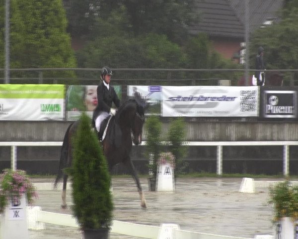 Reitturnier Melle-Ostenfelde 2016