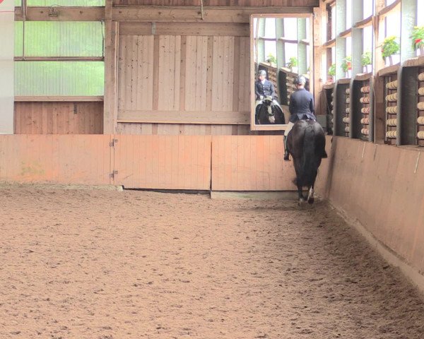 Reitturnier Schwerte-Gut Kückshausen 2016