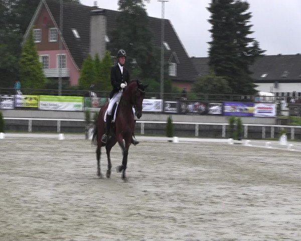 Reitturnier Melle-Ostenfelde 2016