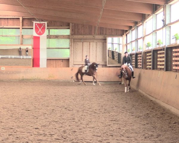 Reitturnier Schwerte-Gut Kückshausen 2016