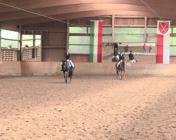Reitturnier Schwerte-Gut Kückshausen 2016