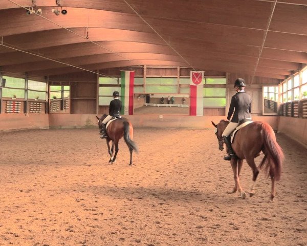 Reitturnier Schwerte-Gut Kückshausen 2016