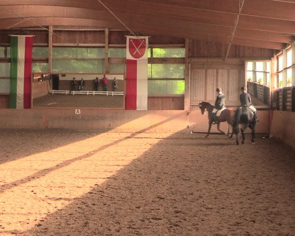 Reitturnier Schwerte-Gut Kückshausen 2016