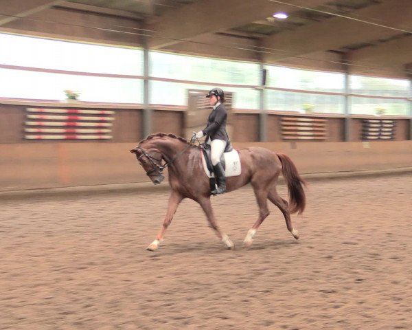 Reitturnier Schwerte-Gut Kückshausen 2016