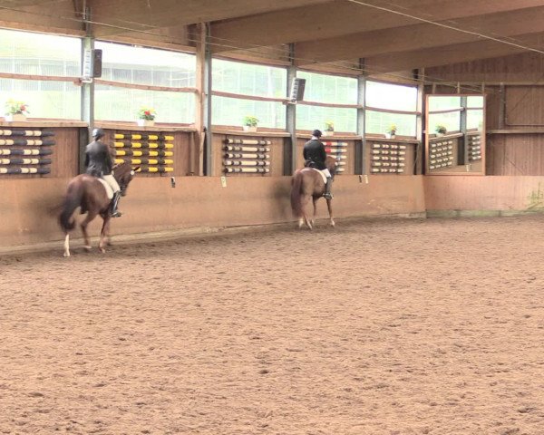 Reitturnier Schwerte-Gut Kückshausen 2016
