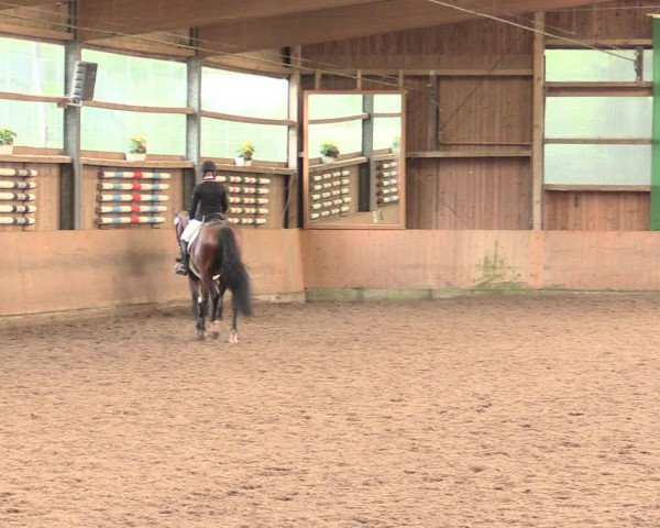 Reitturnier Schwerte-Gut Kückshausen 2016