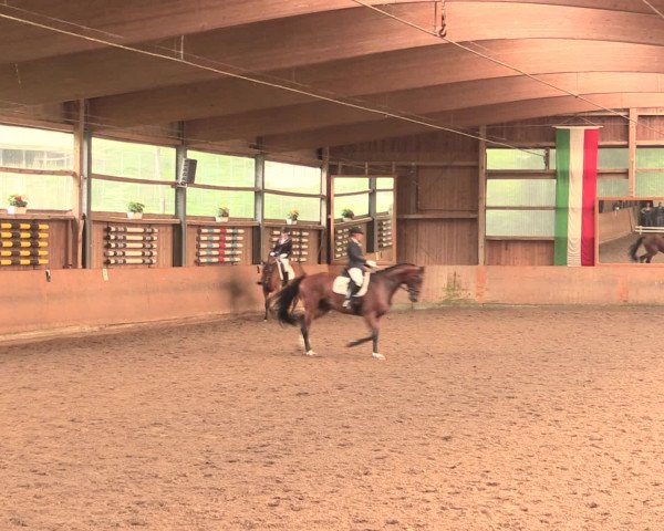 Reitturnier Schwerte-Gut Kückshausen 2016