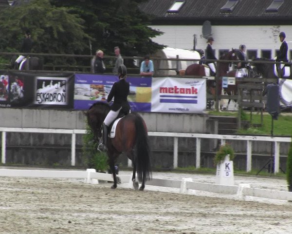 Reitturnier Melle-Ostenfelde 2016