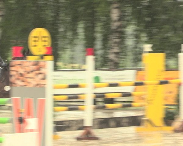 Reitturnier Schwerte-Gut Kückshausen 2016