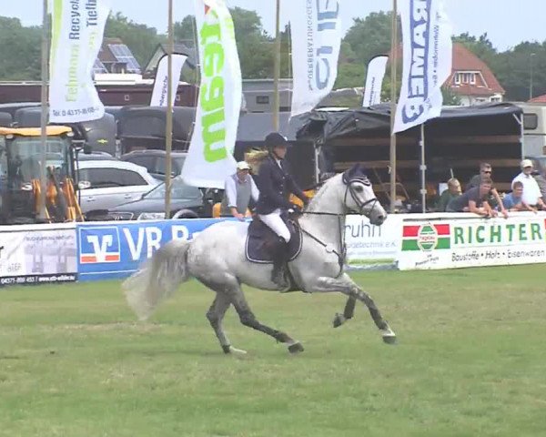 Fehmarn-Pferde-Festival  2016