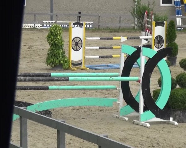 Reitturnier Kalenborn Hegehof 2016