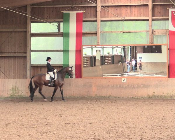 Reitturnier Schwerte-Gut Kückshausen 2016