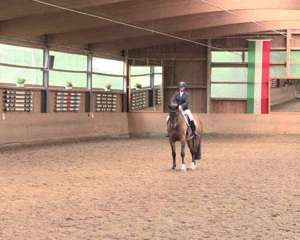 Reitturnier Schwerte-Gut Kückshausen 2016