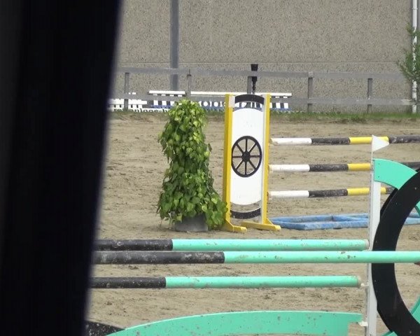 Reitturnier Kalenborn Hegehof 2016
