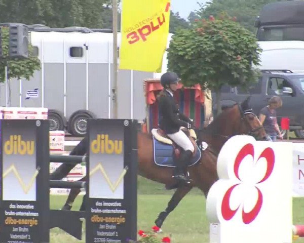 Fehmarn-Pferde-Festival  2016