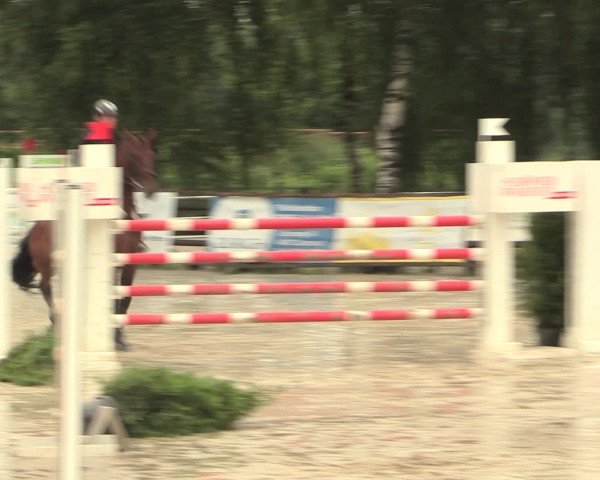 Reitturnier Schwerte-Gut Kückshausen 2016