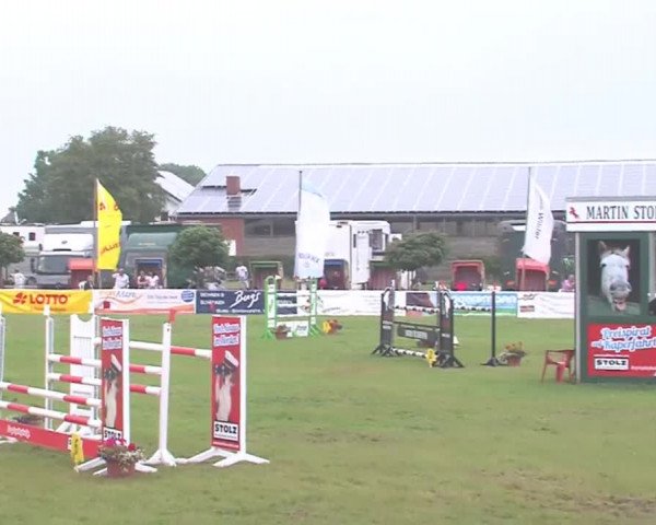 Fehmarn-Pferde-Festival  2016