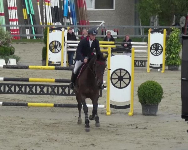 Reitturnier Kalenborn Hegehof 2016