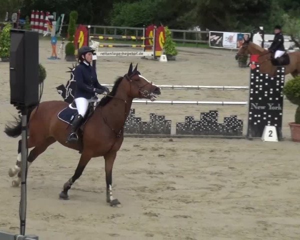 Reitturnier Kalenborn Hegehof 2016