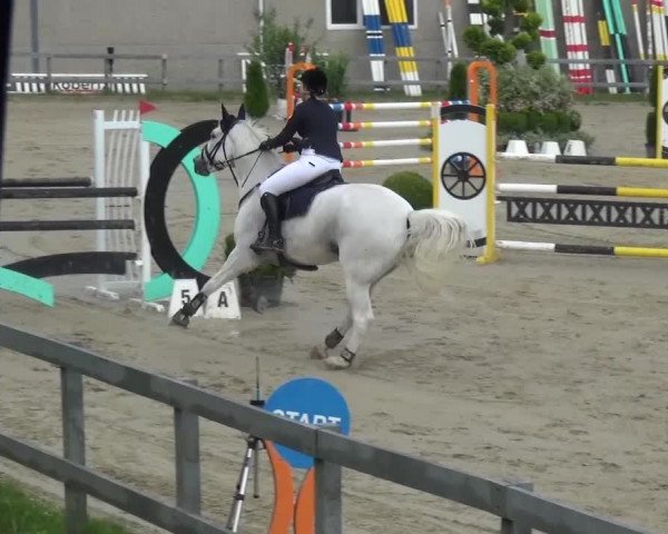 Reitturnier Kalenborn Hegehof 2016