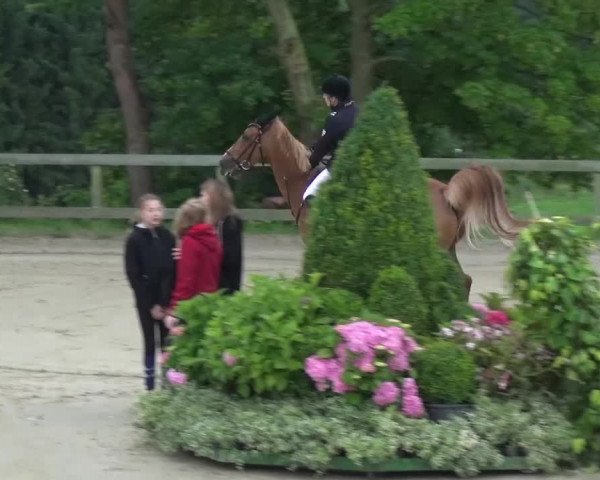 Reitturnier Kalenborn Hegehof 2016