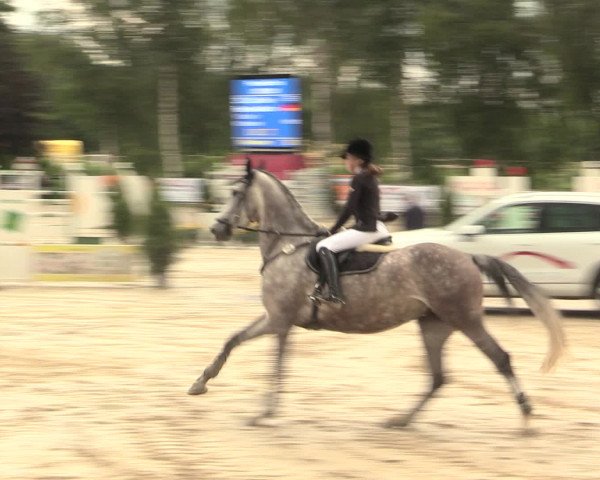 Reitturnier Schwerte-Gut Kückshausen 2016