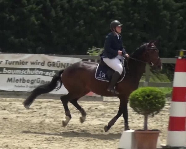 Reitturnier Kalenborn Hegehof 2016