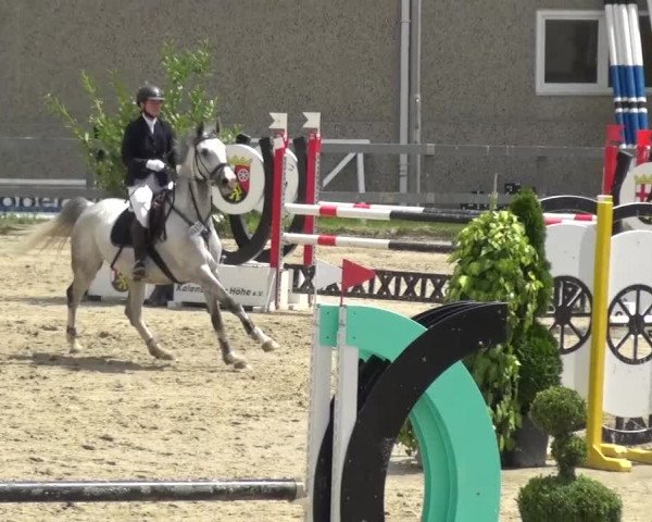Reitturnier Kalenborn Hegehof 2016
