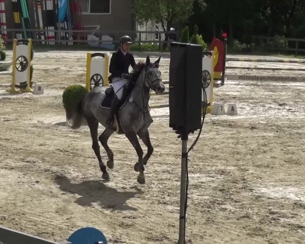 Reitturnier Kalenborn Hegehof 2016