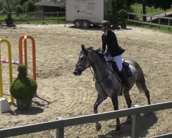 Reitturnier Kalenborn Hegehof 2016